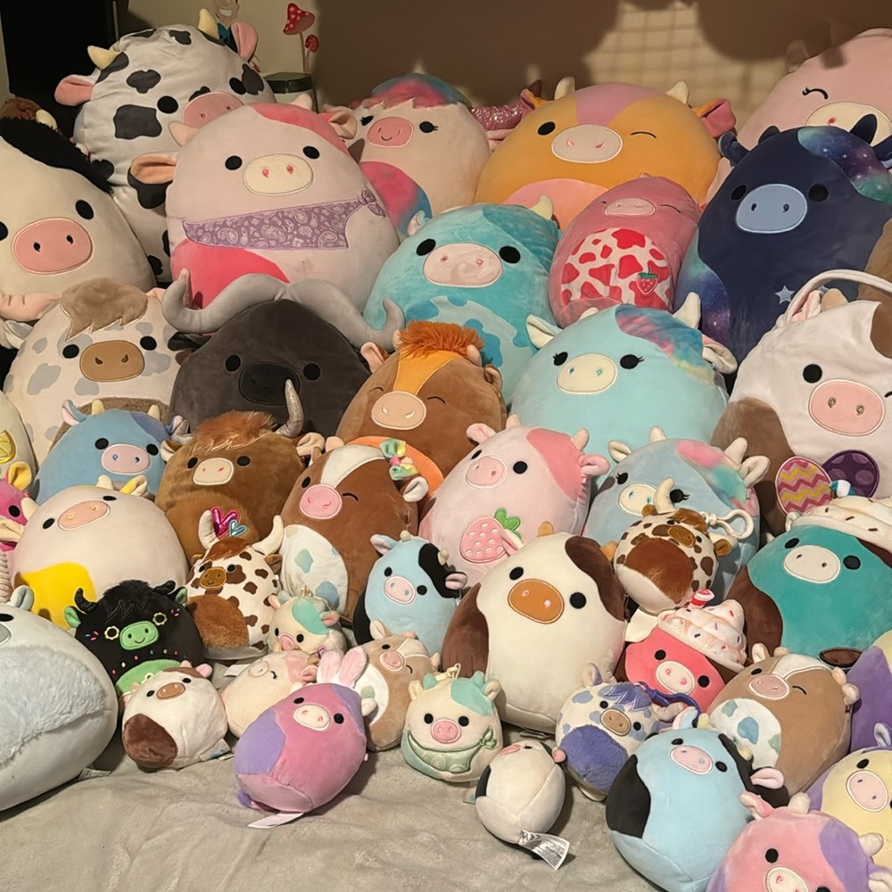 70 cow squishmallow bundle VERY RARE. - Picture 4 of 13